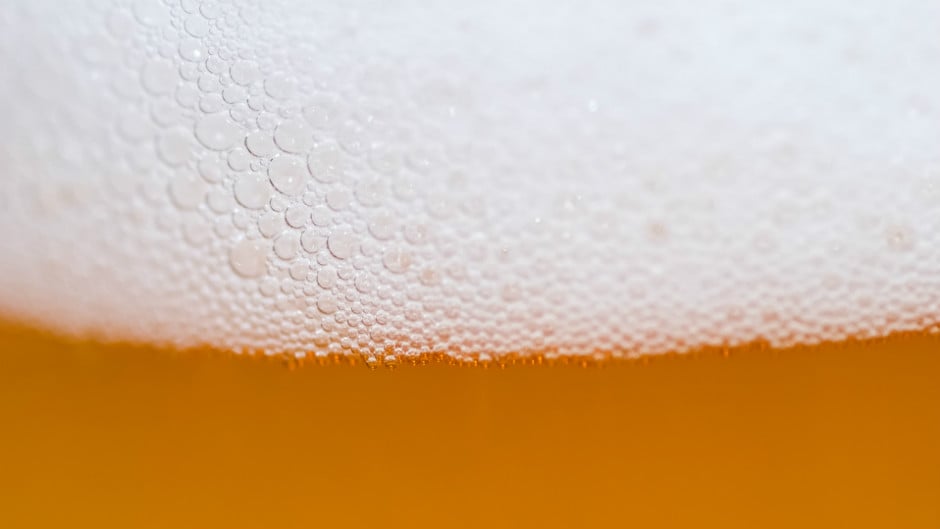 Capa da matéria Trainee Ambev fala sobre o seu dia a dia na cervejaria