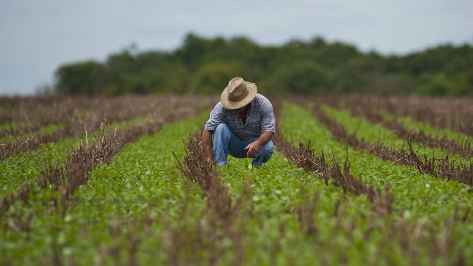 Capa da matéria O dia a dia de um engenheiro agrônomo