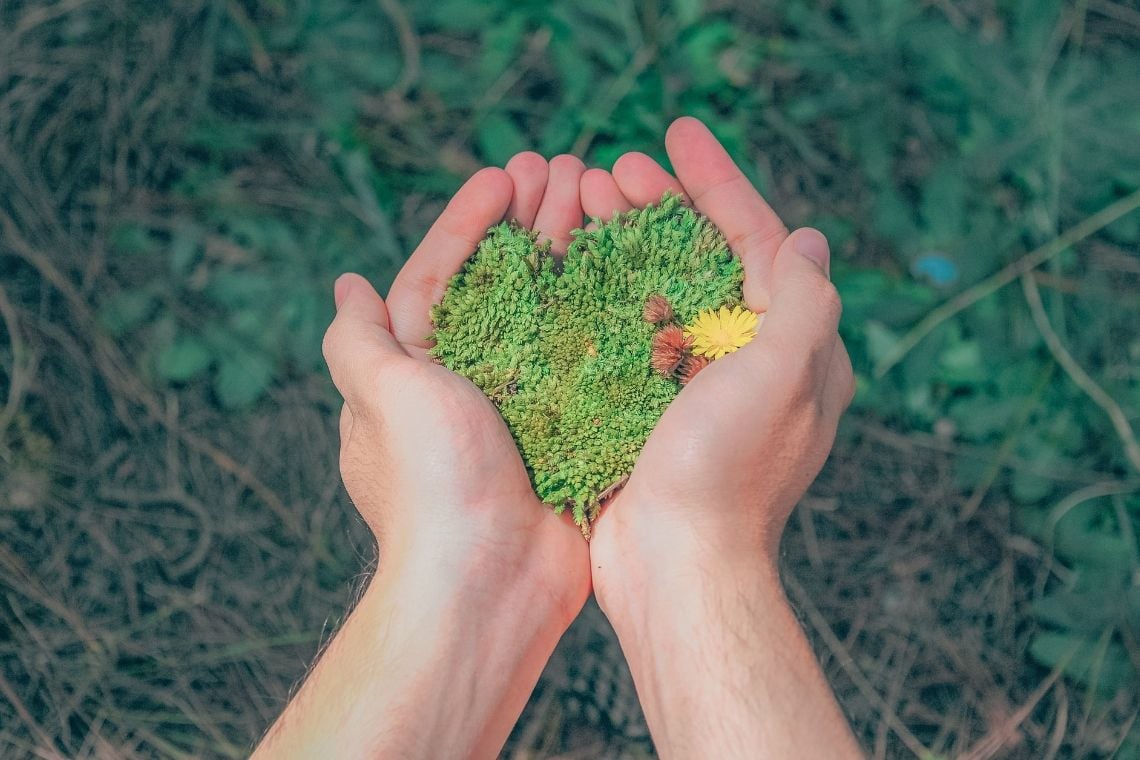 Capa da matéria Trabalhar com meio ambiente é para você? Confira 8 fatos sobre a área