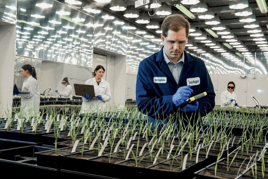 Capa da matéria Agronegócio oferece oportunidades de carreira para diversos backgrounds