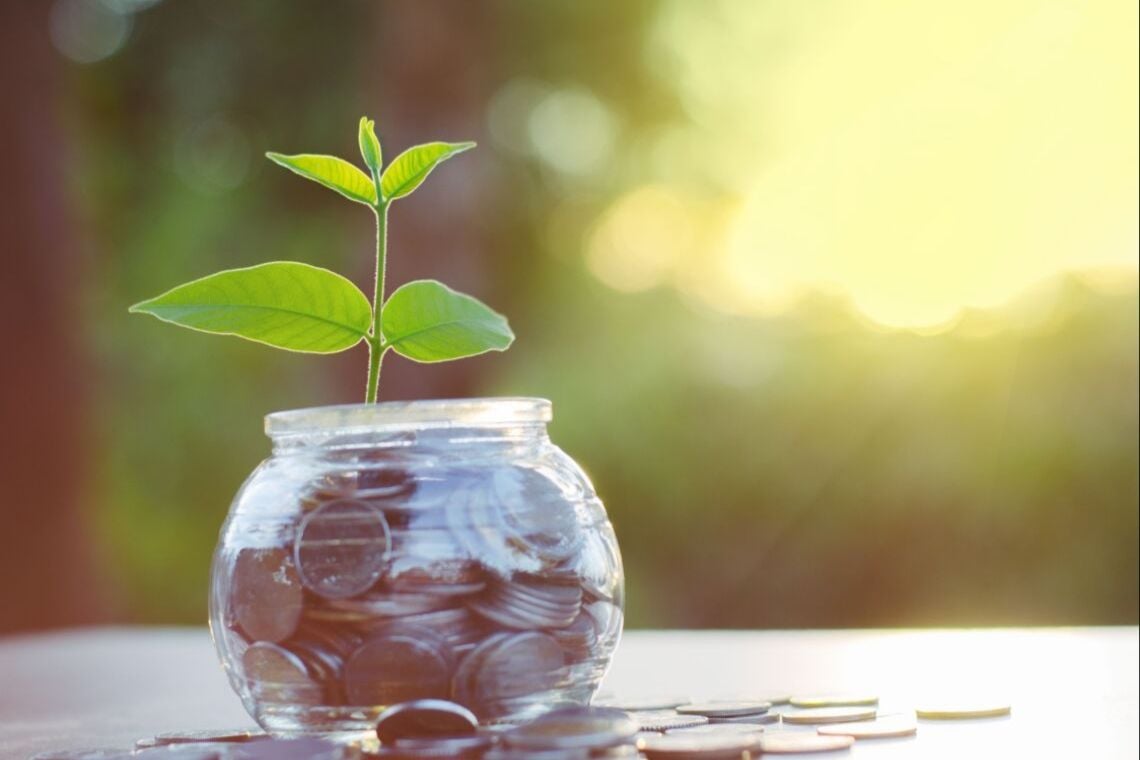 Capa da matéria ESG: conheça o critério que guia investimentos com foco em sustentabilidade