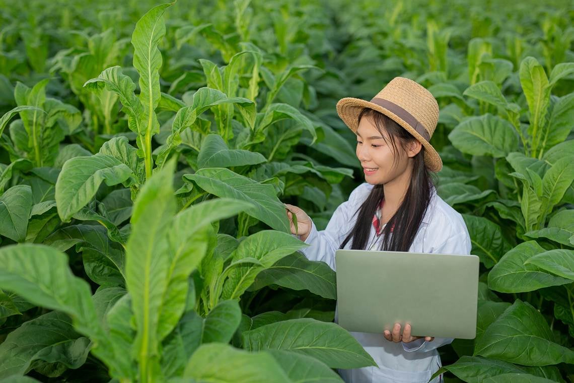 Capa da matéria Focadas em sustentabilidade, cleantechs ganham espaço no mercado de startups