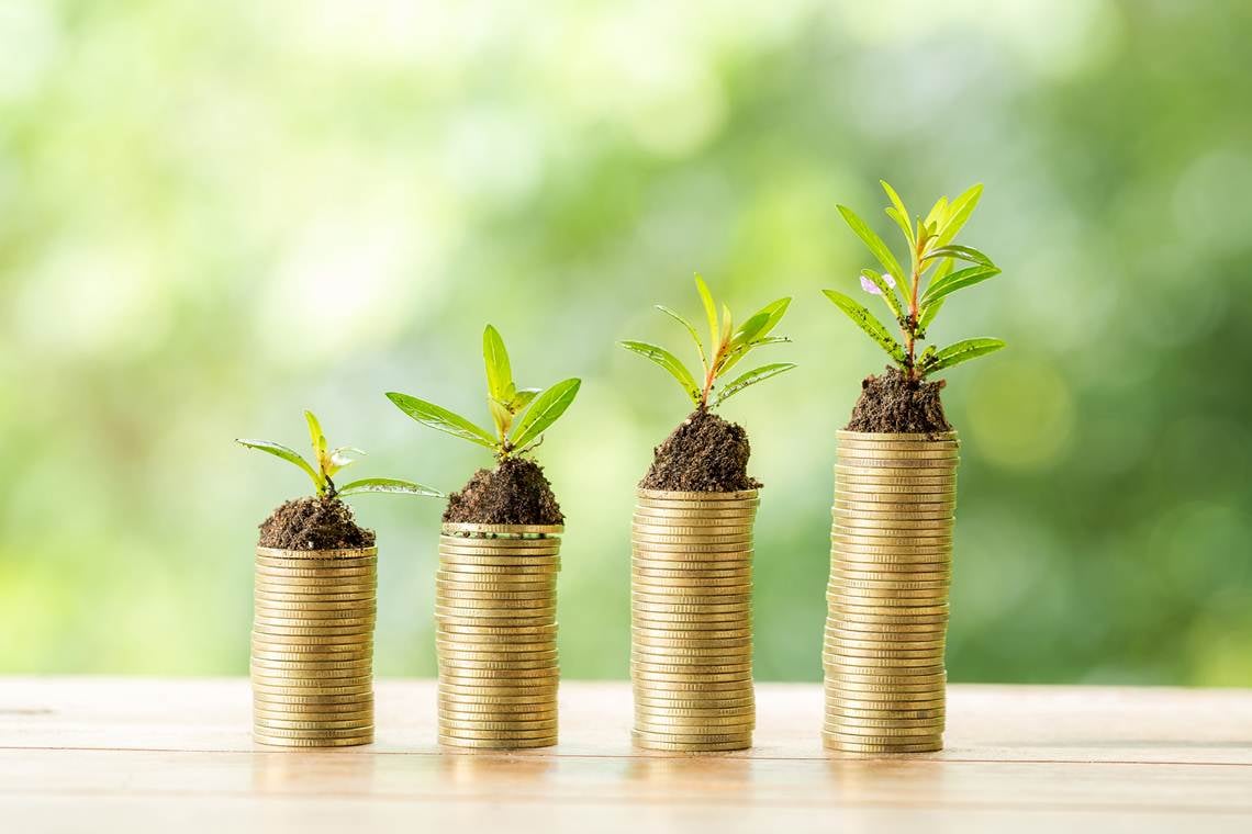 Capa da matéria Economia verde: conheça oportunidades de trabalho e habilidades essenciais