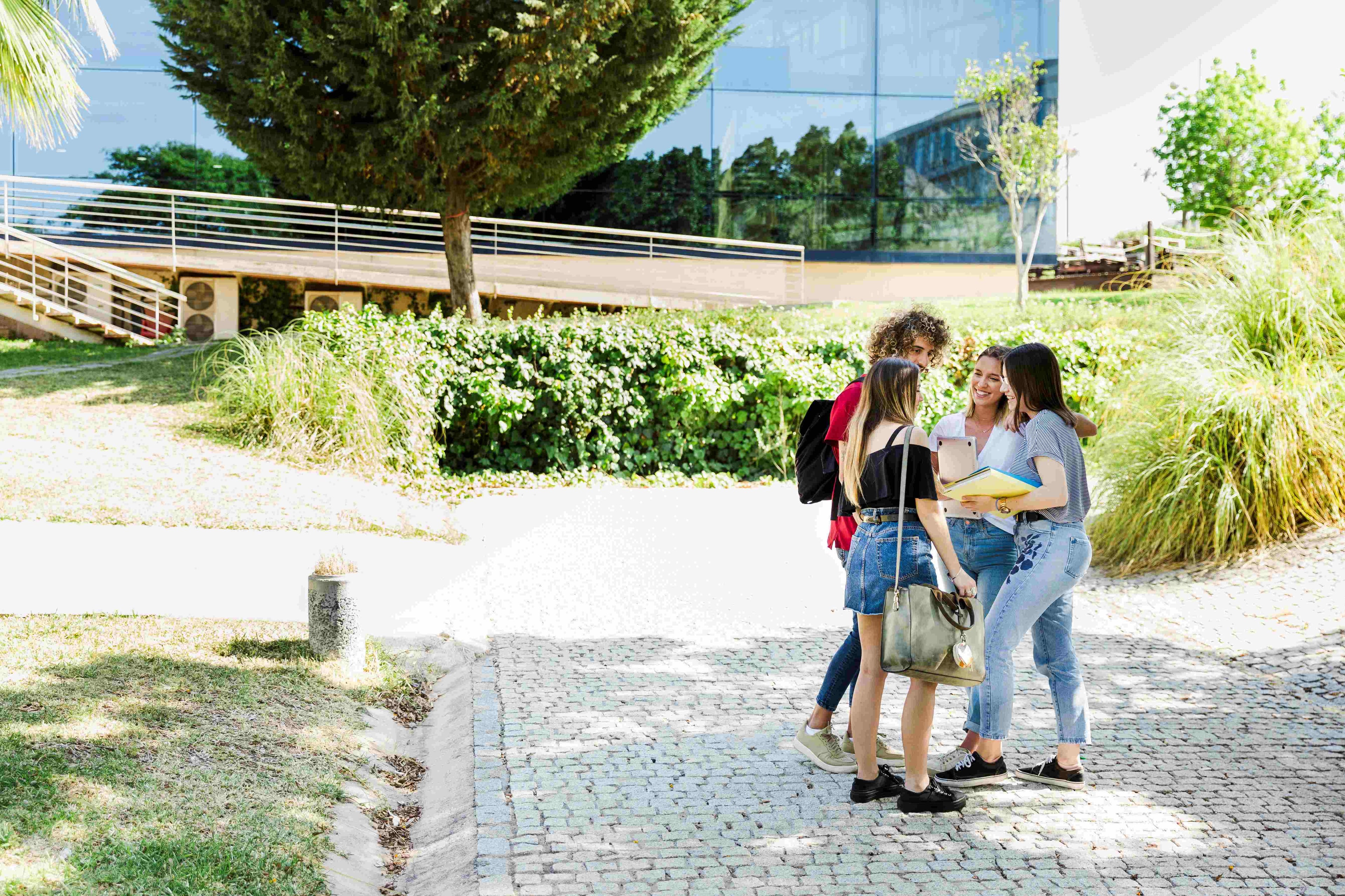 Capa da matéria Salários maiores, acesso limitado e cursos longos: a realidade sobre o diploma universitário no Brasil relevada pela OCDE