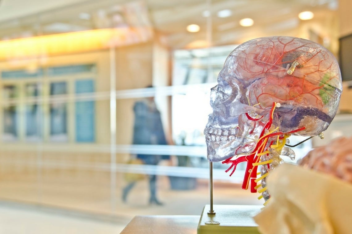 Capa da matéria Evento gratuito em São Paulo traz segredos da neurociência para impulsionar a inovação