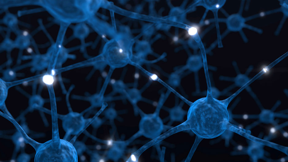 365 Jogos de Lógica para Exercitar os Neurónios
