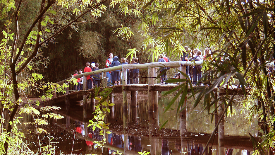 Pessoas atravessam ponte sobre rio em parque brasileiro