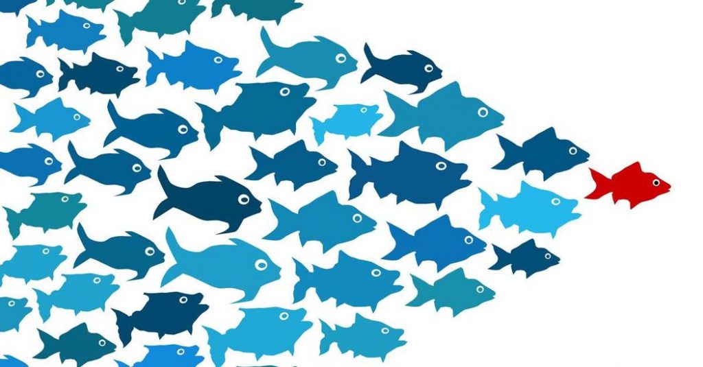Peixe vermelho lidera peixes azuis [Matéria sobre como ser um líder]