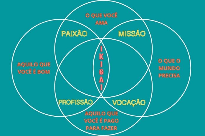 Qué es el IKIGAI y cómo definirlo