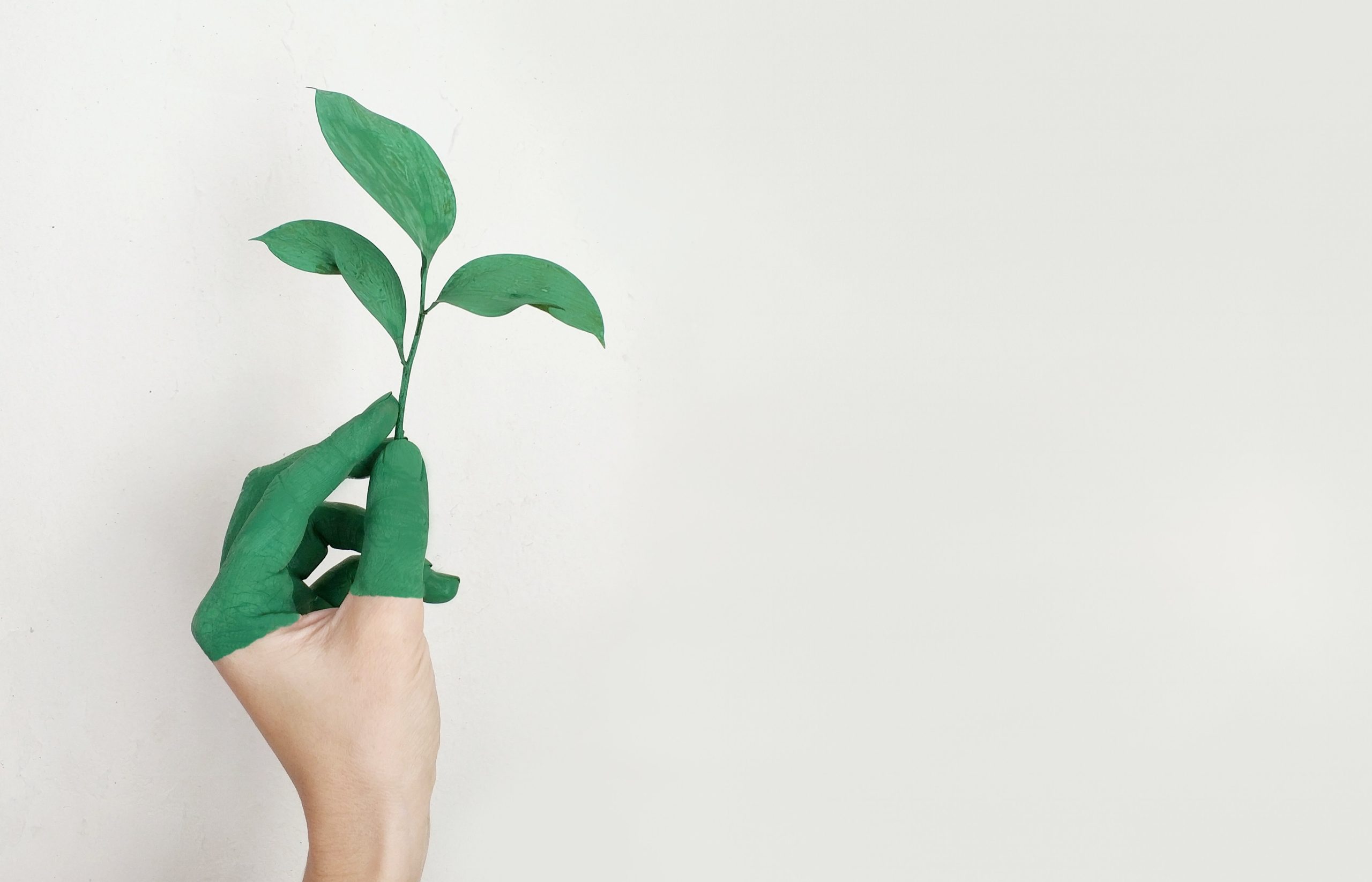Capa da matéria ESG para além do E: como empresas aplicam ações de sustentabilidade na prática?