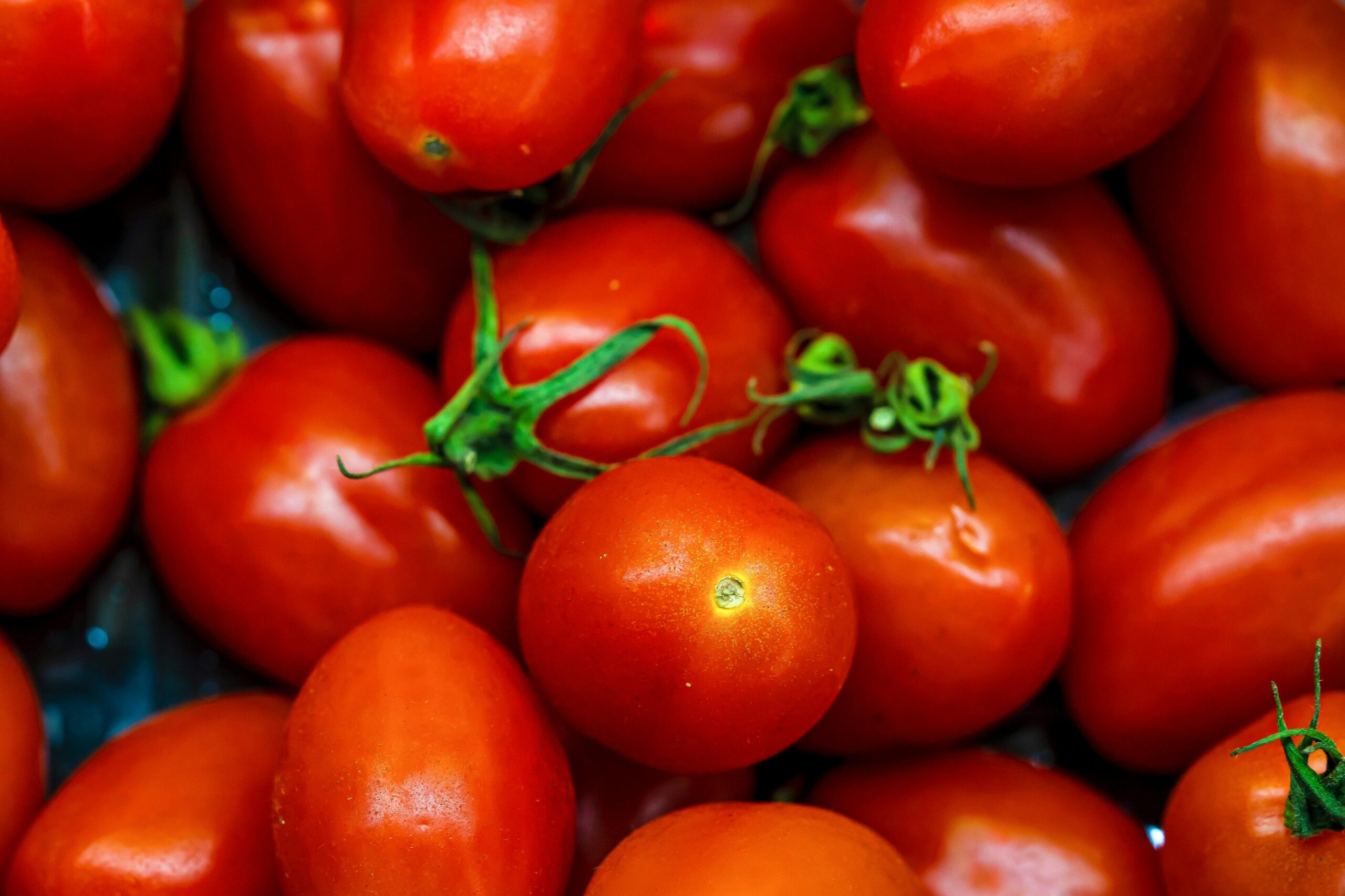 Capa da matéria Técnica Pomodoro: saiba como gerenciar seu tempo e ser mais produtivo