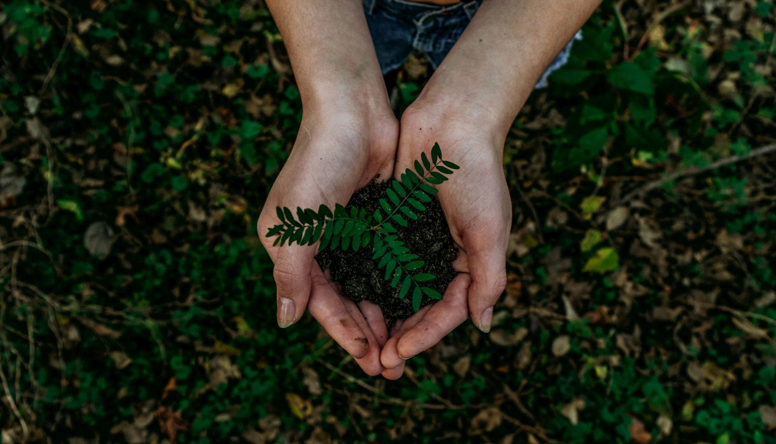 Capa da matéria Aprenda Sustentabilidade e ESG: 8 cursos gratuitos
