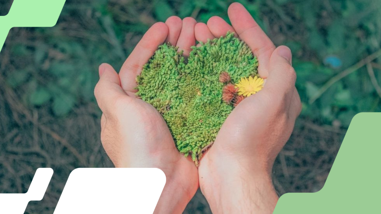 Imagem referente à notícia: Como a COP30 pode inspirar uma carreira em sustentabilidade – do estágio à liderança