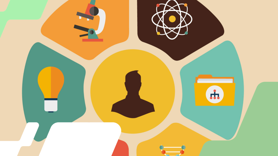 O que é a Roda da Vida e como ela pode direcionar sua carreira